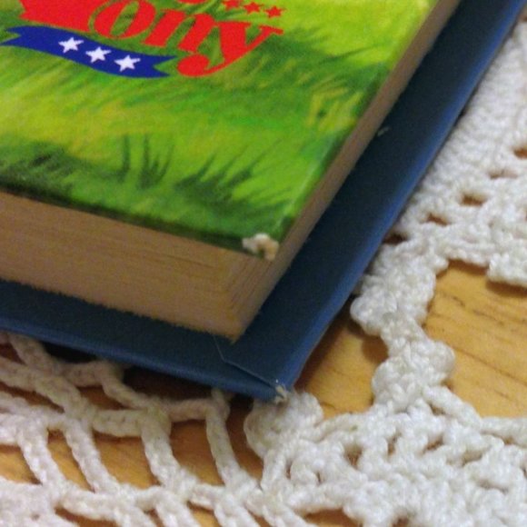 3 for $10 book sale! Pony Books -  Hero Horse, middle grades - Picture 5 of 7